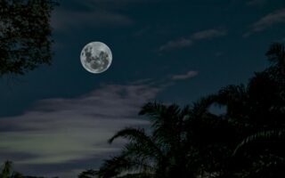 Pełnia Księżyca w styczniu 2026 - kiedy i gdzie oglądać Księżyc?