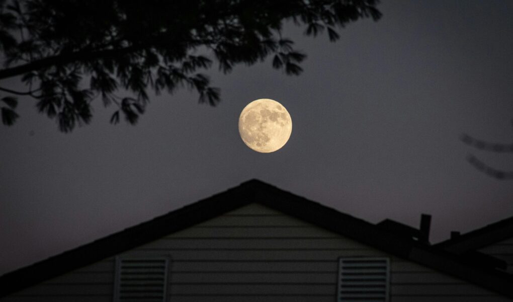 Pełnia Księżyca w lutym 2026 - kiedy i gdzie oglądać?