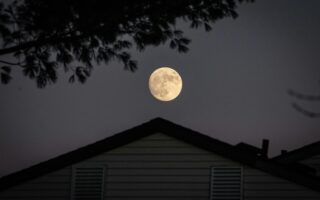 Pełnia Księżyca w lutym 2026 - kiedy i gdzie oglądać?