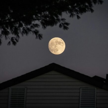 Pełnia Księżyca w lutym 2026 - kiedy i gdzie oglądać?