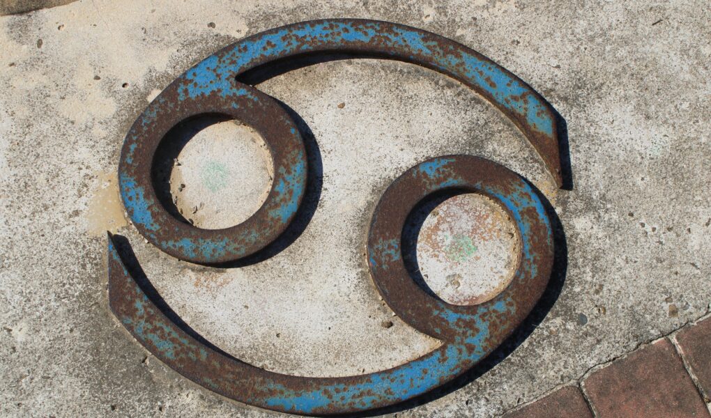 Ascendent w Raku - jak wpływa na znaki zodiaku?