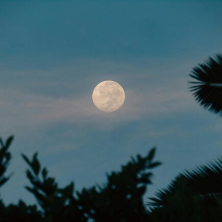 Pełnia Księżyca w marcu 2026 - kiedy jest i gdzie oglądać?