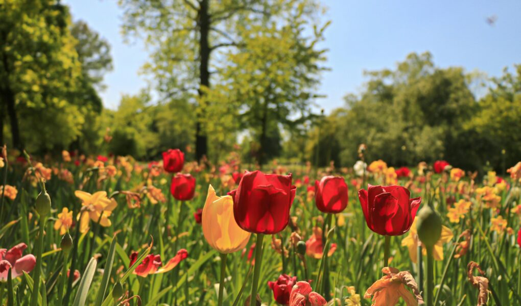 Horoskop na kwiecień 2026 dla każdego znaku zodiaku