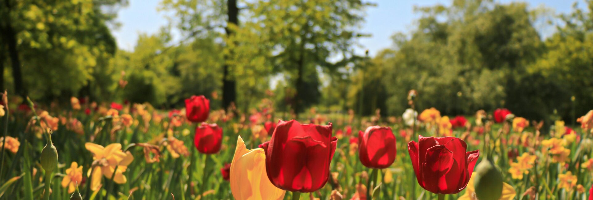 Horoskop na kwiecień 2026 dla każdego znaku zodiaku