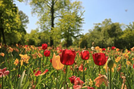 Horoskop na kwiecień 2026 dla każdego znaku zodiaku